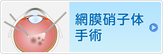 網膜硝子体手術はこちら